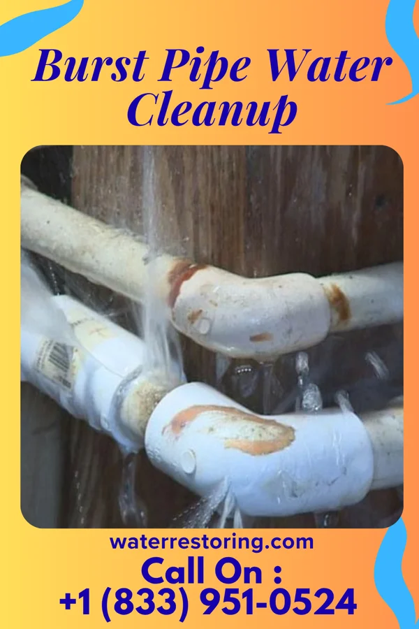 Burst Pipe Water Cleanup in Gleed, WA