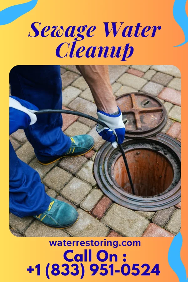 Sewage Water Cleanup in Gleed, WA